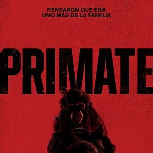 Foto Primate