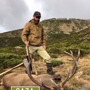 Foto Certeros Ballesteros: Berrea en Mampodre
