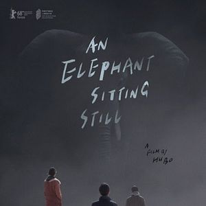 Foto An Elephant Sitting Still