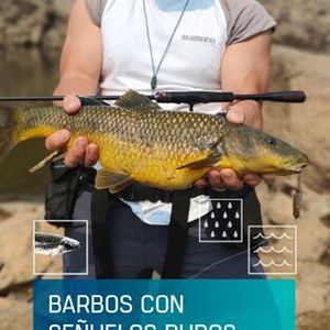 Foto Barbos con señuelos