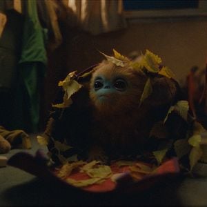 Foto La leyenda de Ochi