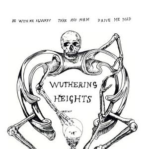 Foto Cumbres borrascosas