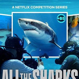 Foto Desafío tiburón