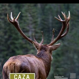 Foto Berreando en Las Villuercas