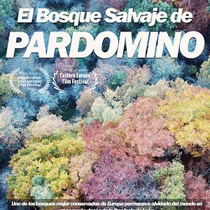 Foto El bosque salvaje de Pardomino