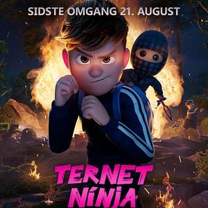 Foto Ninja a cuadros: El origen