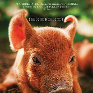 Foto Mi gran pequeña granja