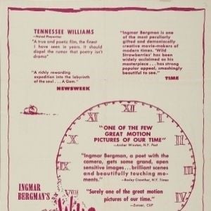 Foto Fresas salvajes