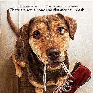 Foto Uno más de la familia