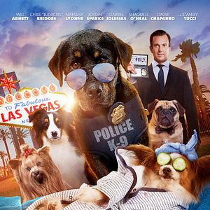 Foto Superagente canino