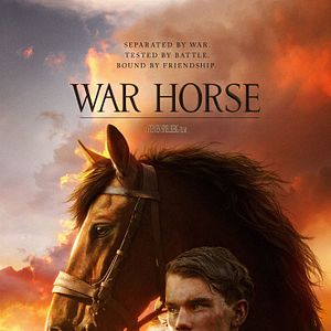 Foto War Horse (Caballo de batalla)