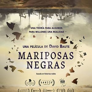 Foto Mariposas negras
