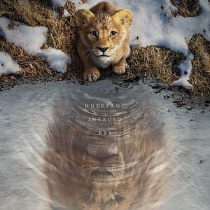 Foto Mufasa: El rey león