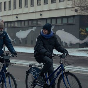 Foto Los años nuevos