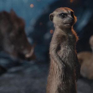 Foto Mufasa: El rey león