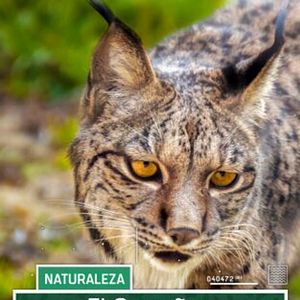 Foto El Castañar. Un modelo de gestión