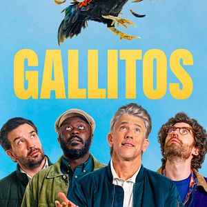 Foto Gallitos