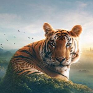 Foto Cómo se hizo Asia