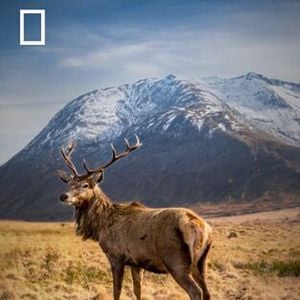 Foto Europa indómita