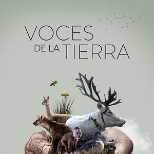 Foto Voces de la Tierra