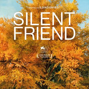 Foto El amigo silencioso