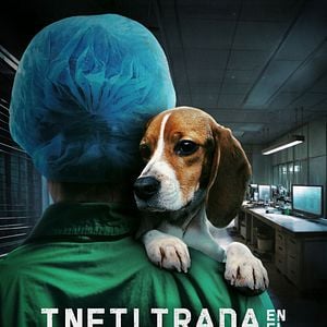 Foto Infiltrada en el búnker