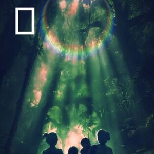 Foto Lost In The Jungle