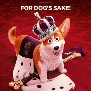Foto Corgi, las mascotas de la reina