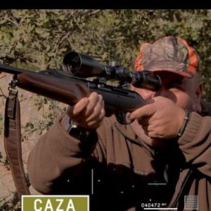 Foto Lances en puestos de sierra