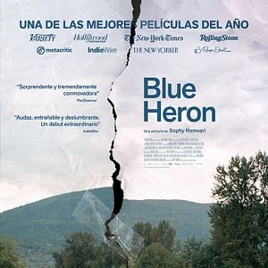 Foto Blue Heron