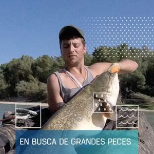 Foto En busca de peces grandes