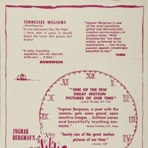 Foto Fresas salvajes