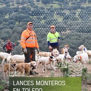 Foto Lances monteros en Toledo
