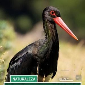 Foto Suerte Ampanera, rebaño de biodiversidad