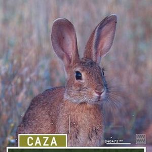 Foto A conejos en Portugal