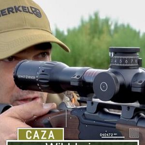 Foto Wild Luis: El Corzo Galaico