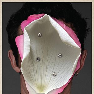 Foto Rosebush Pruning