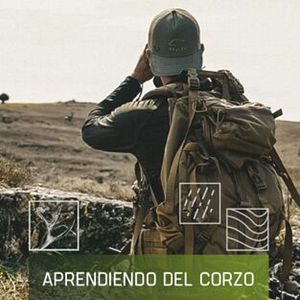 Foto Aprendiendo del corzo
