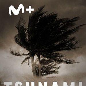 Foto Tsunami: la ola que conmocionó al mundo