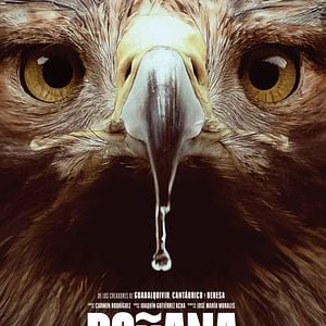 Foto Doñana, el retrato de una tierra salvaje