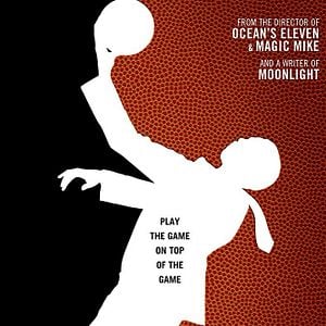 Foto High Flying Bird