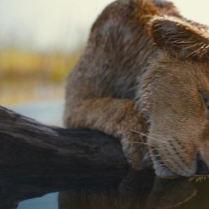 Foto Mufasa: El rey león