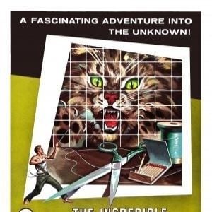 Foto El increíble hombre menguante