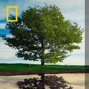 Foto Cambio climático