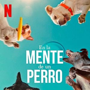 Foto En la mente de un perro