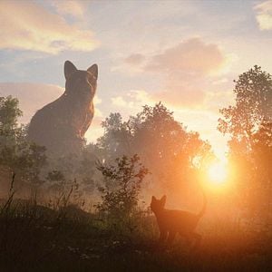 Foto Flow, un mundo que salvar