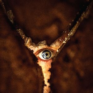 Foto Return To Silent Hill