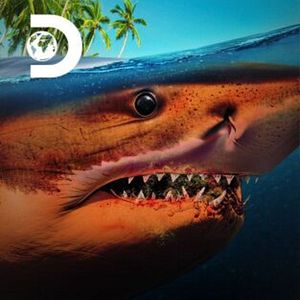 Foto Tiburones: muerte en el paraíso