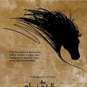 Foto El corcel negro