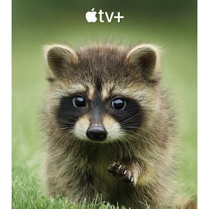 Foto La vida secreta de los animales